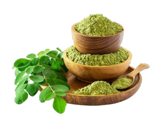 4428d6dd-30c8-49c1-91d6-f45f18ec1830-removebg-preview